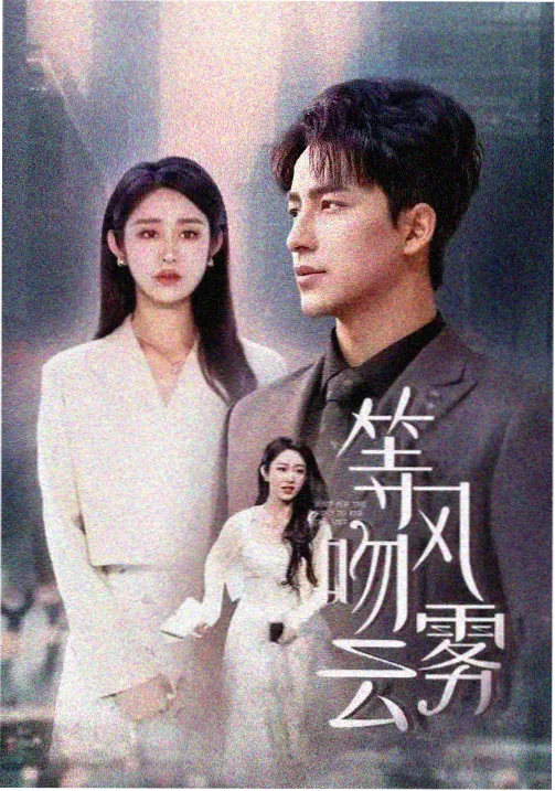 西门纪事世情题材剧集海报